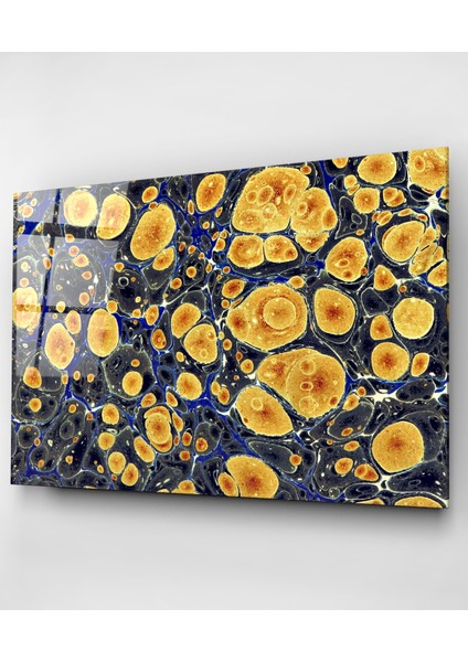 Sarı Renkli Şekil Cam Tablo, Dekoratif Cam Tablo fırsatları