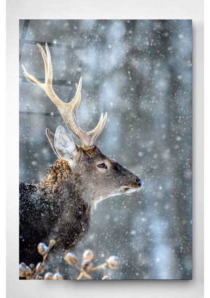 Geyik Cam Tablo, Dekoratif Cam Tablo