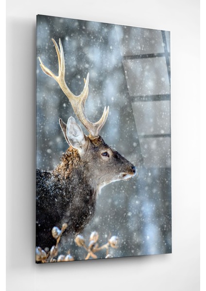 Geyik Cam Tablo, Dekoratif Cam Tablo fiyatları