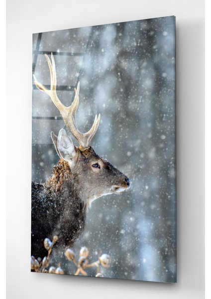 Geyik Cam Tablo, Dekoratif Cam Tablo fırsatları