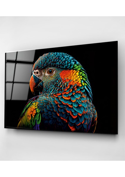 Colorful Feathered Bird Cam Tablo, Dekoratif Cam Tablo fırsatları