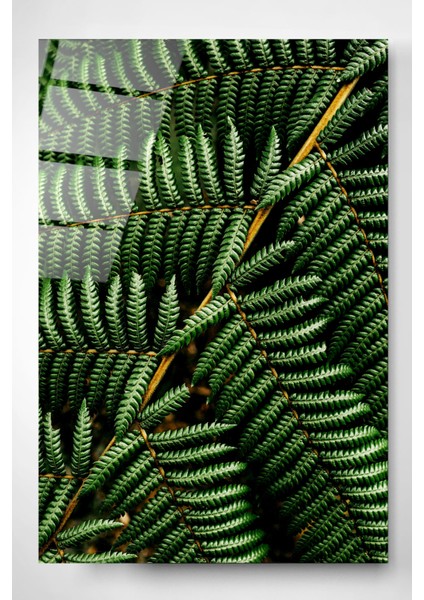 Yaprak Detaylı Cam Tablo, Dekoratif Cam Tablo, Modern Cam Tablo