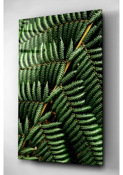 Yaprak Detaylı Cam Tablo, Dekoratif Cam Tablo, Modern Cam Tablo fiyatları