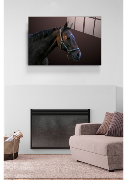 At Cam Tablo, Dekoratif Cam Tablo modelleri