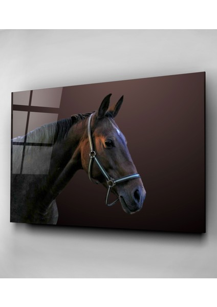 At Cam Tablo, Dekoratif Cam Tablo fırsatları