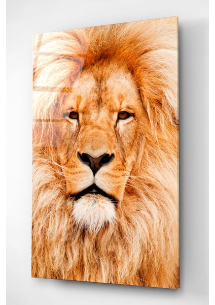 Aslan Cam Tablo, Dekoratif Cam Tablo, Modern Cam Tablo fiyatları