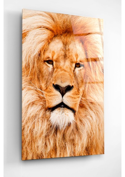 Aslan Cam Tablo, Dekoratif Cam Tablo, Modern Cam Tablo fırsatları