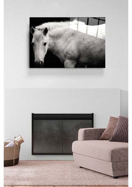 Siyah & Beyaz At Cam Tablo, Dekoratif Cam Tablo modelleri
