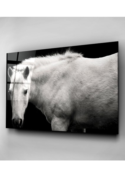 Siyah & Beyaz At Cam Tablo, Dekoratif Cam Tablo fırsatları