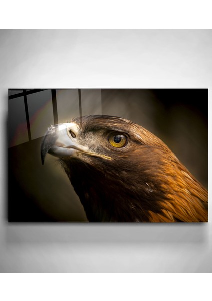 Şahin Cam Tablo, Dekoratif Cam Tablo