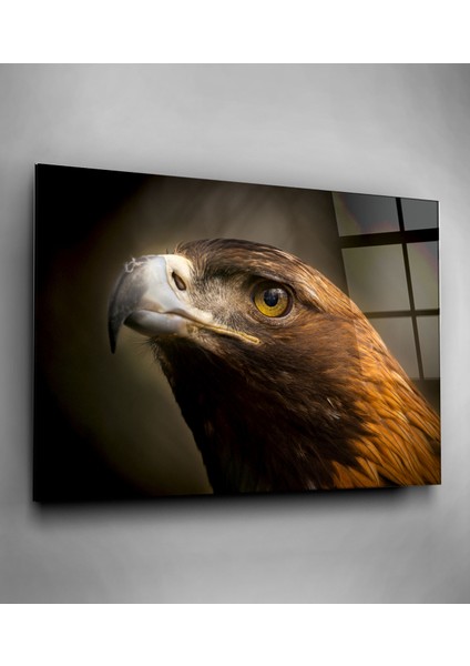 Şahin Cam Tablo, Dekoratif Cam Tablo fiyatları