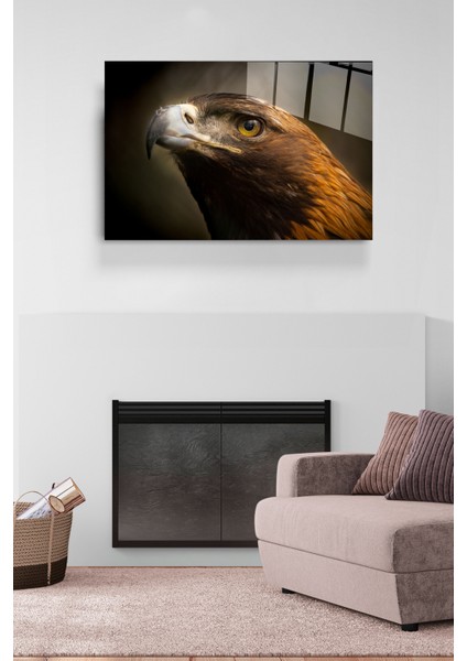 Şahin Cam Tablo, Dekoratif Cam Tablo modelleri