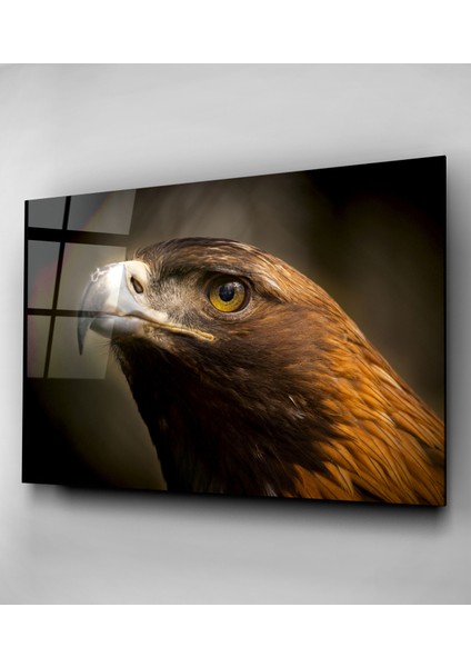 Şahin Cam Tablo, Dekoratif Cam Tablo fırsatları