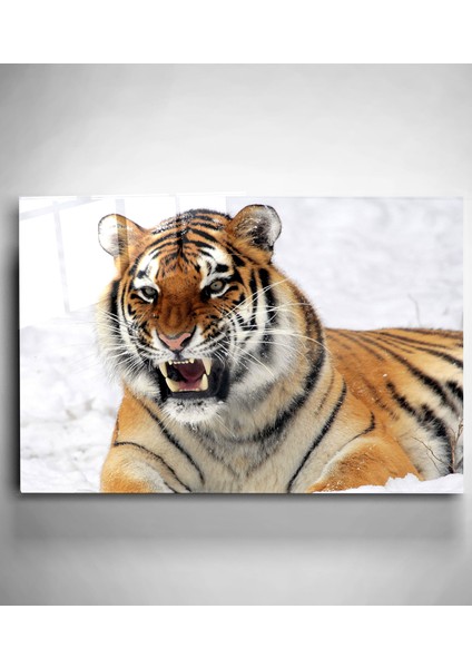 Kaplan Cam Tablo, Dekoratif Cam Tablo