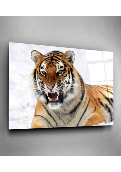 Kaplan Cam Tablo, Dekoratif Cam Tablo fiyatları