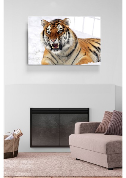 Kaplan Cam Tablo, Dekoratif Cam Tablo modelleri