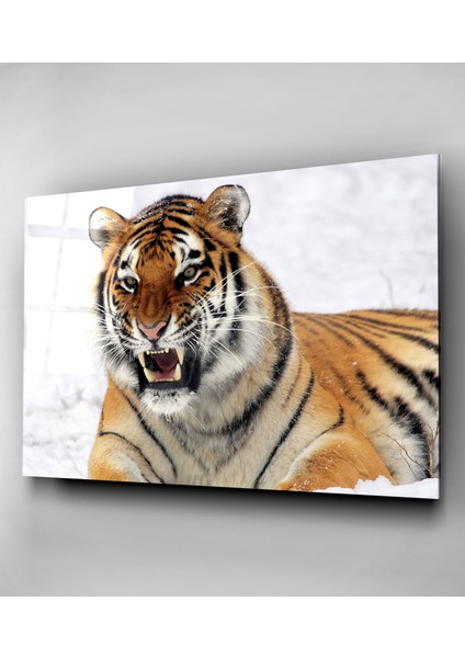 Kaplan Cam Tablo, Dekoratif Cam Tablo fırsatları