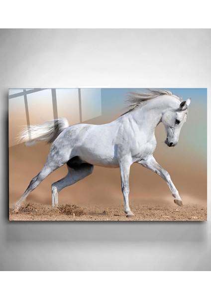 Beyaz At Cam Tablo, Dekoratif Cam Tablo