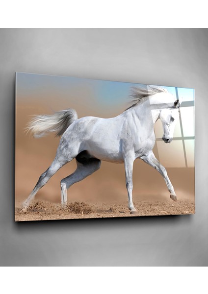 Beyaz At Cam Tablo, Dekoratif Cam Tablo fiyatları