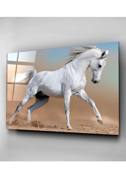 Beyaz At Cam Tablo, Dekoratif Cam Tablo fırsatları