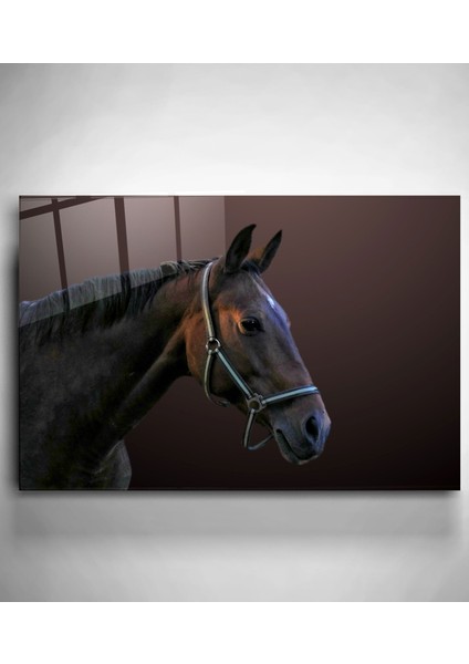 At Cam Tablo, Dekoratif Cam Tablo