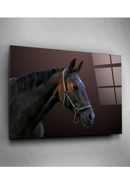 At Cam Tablo, Dekoratif Cam Tablo fiyatları