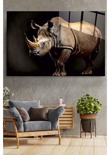 Gergedan Cam Tablo, Dekoratif Cam Tablo fırsatları