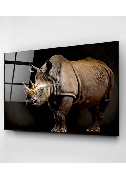 Gergedan Cam Tablo, Dekoratif Cam Tablo indirimleri