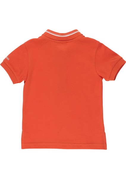 Erkek Çocuk Triko Yakalı Pike T-Shirt fiyatları