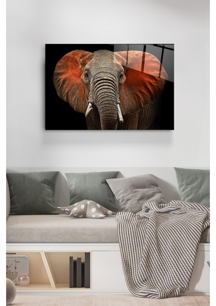 Fil Cam Tablo, Dekoratif Cam Tablo