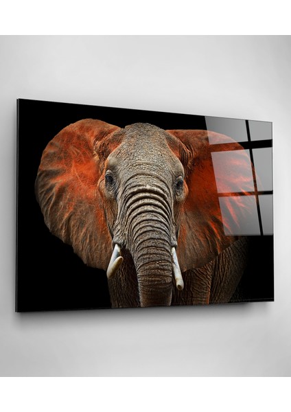 Fil Cam Tablo, Dekoratif Cam Tablo fiyatları