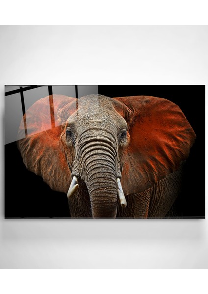 Fil Cam Tablo, Dekoratif Cam Tablo modelleri