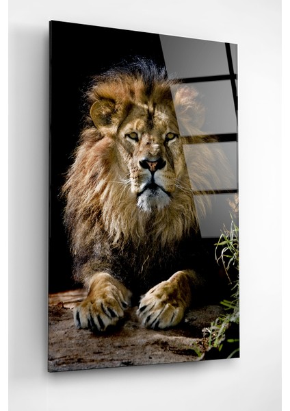 Aslan Cam Tablo, Dekoratif Cam Tablo fiyatları