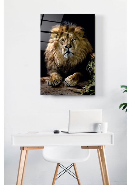 Aslan Cam Tablo, Dekoratif Cam Tablo modelleri