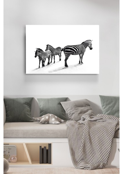 Zebralar Cam Tablo, Dekoratif Cam Tablo