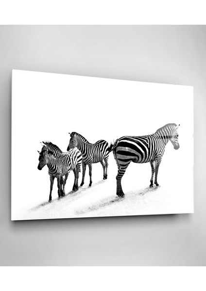 Zebralar Cam Tablo, Dekoratif Cam Tablo fiyatları