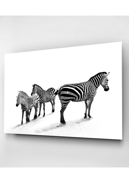 Zebralar Cam Tablo, Dekoratif Cam Tablo fırsatları