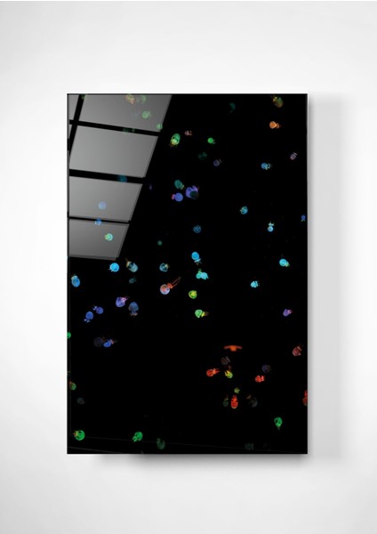 Digi Glass Renkli Minik Deniz Anaları Cam Tablo