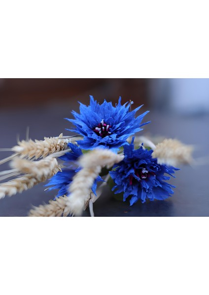 Roco Paper Italyan Krapon Kağıdı Set Blueberry – 180 gr - 25X125 cm 6'lı Paket - %260 Esneme Özelliğ