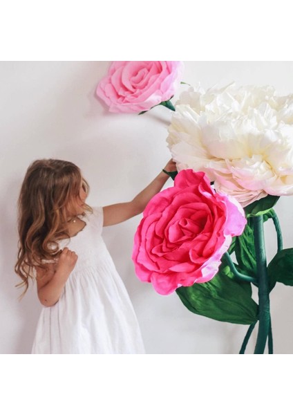 Roco Paper Italyan Krapon Kağıdı Set Pinky – 180 gr - 25X125 cm 6'lı Paket - %260 Esneme Özelliği
