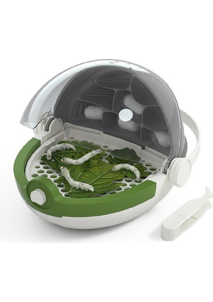 Science Tank Üreme Kabini Çocuk Böcek Gözlem Kutusu (Yurt Dışından)