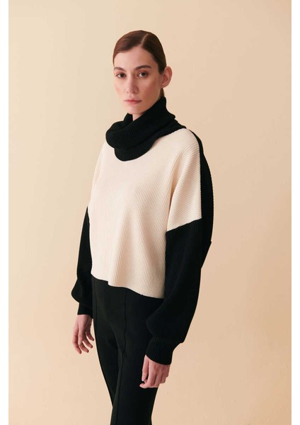 Mısırlı Siyah Kazak fiyatları