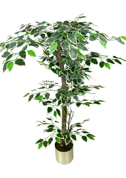 Yapay Ağaç Ficus 120 cm 15X15 cm Metal Saksı modelleri