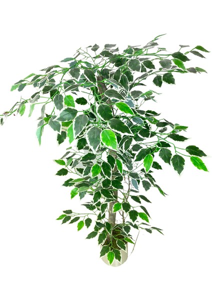 Yapay Ağaç Ficus 120 cm 15X15 cm Metal Saksı fırsatları