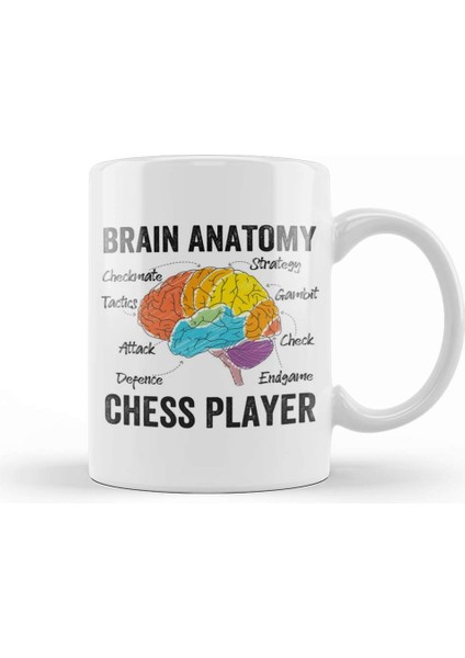 Chess Funny Brain Anatomy Of A Chess Player Kupa Bardak Porselen