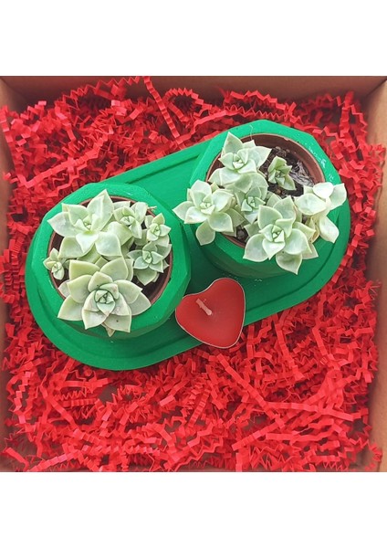 Hediye 2'li Sukulent Saksı Seti modelleri