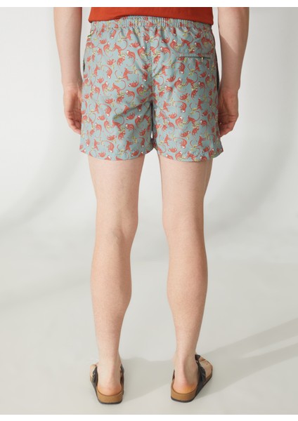 Yeşil Erkek Şort Mayo Mr Capri fırsatları