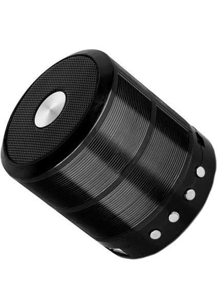 Acl Mini Speaker