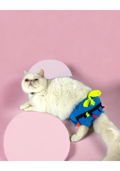 Blue Tufty Kemique's Secret Kedi Iç Çamaşırı Regl Külot Don fiyatları