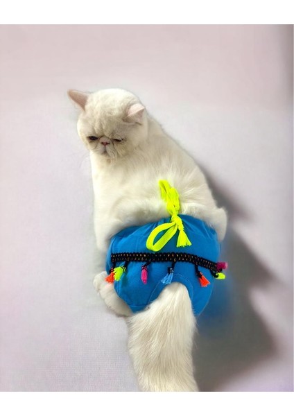 Blue Tufty Kemique's Secret Kedi Iç Çamaşırı Regl Külot Don